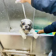 Vets & Pets Veterinary Clinic photo