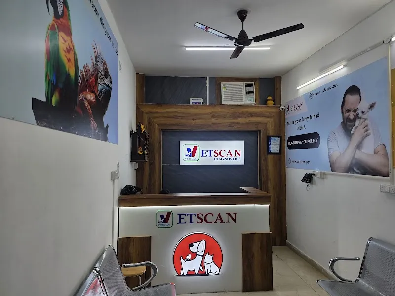 Vetscan Diagnostics photo