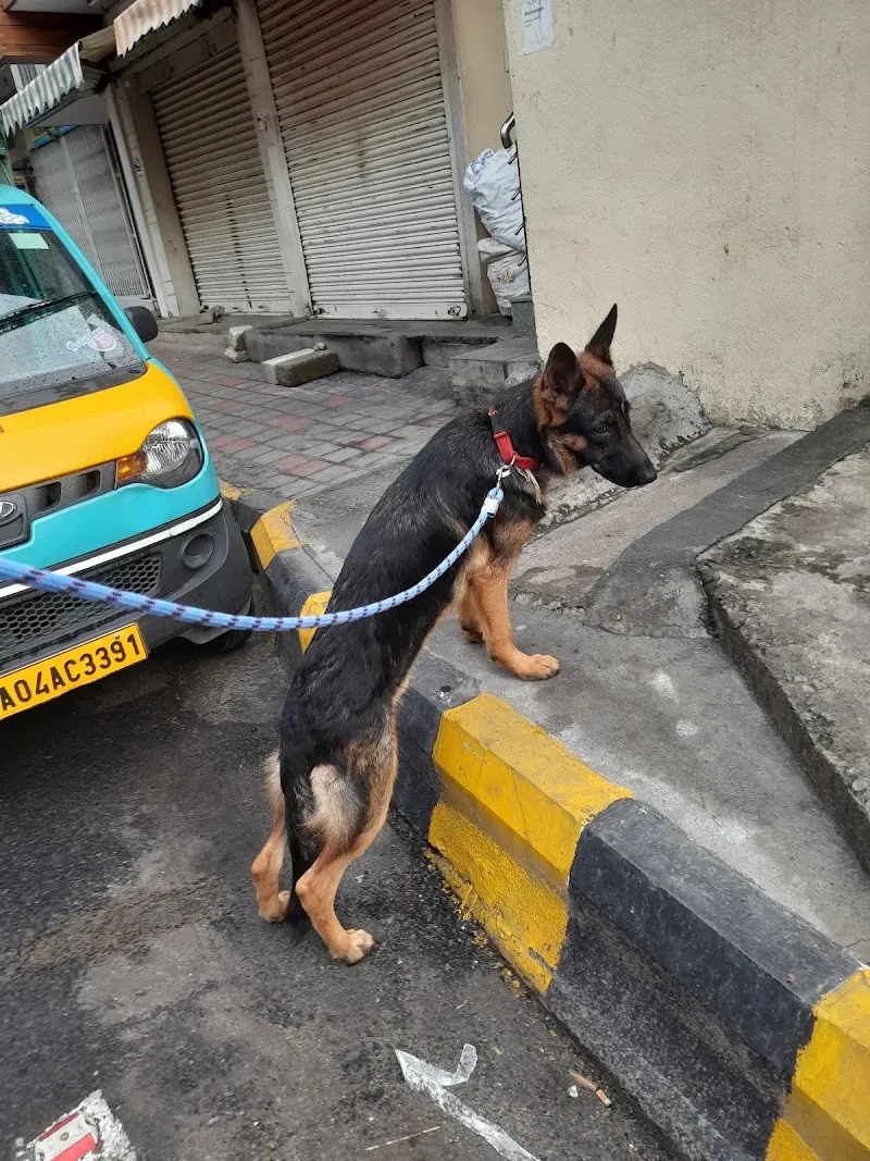 Vijay Pets Clinic photo