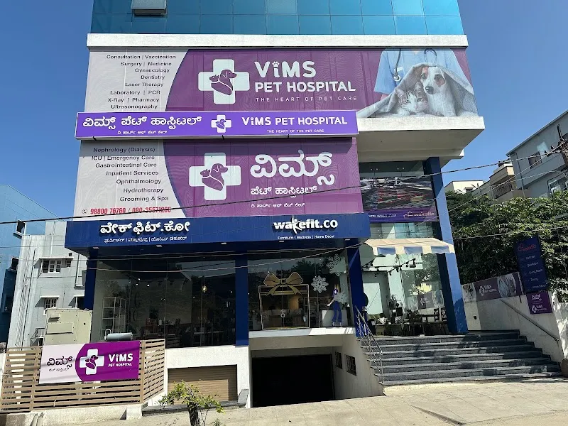 VIMS Pet Hospital – Trusted Veterinarian Clinic for pets photo