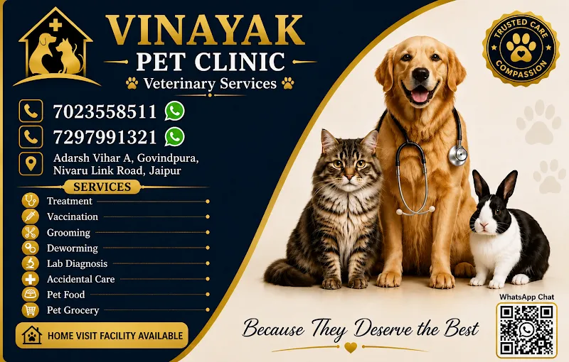 Vinayak pet clinic photo