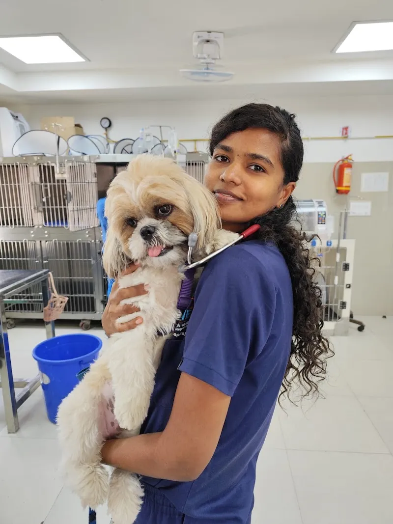 Vision Vet Life Clinic photo