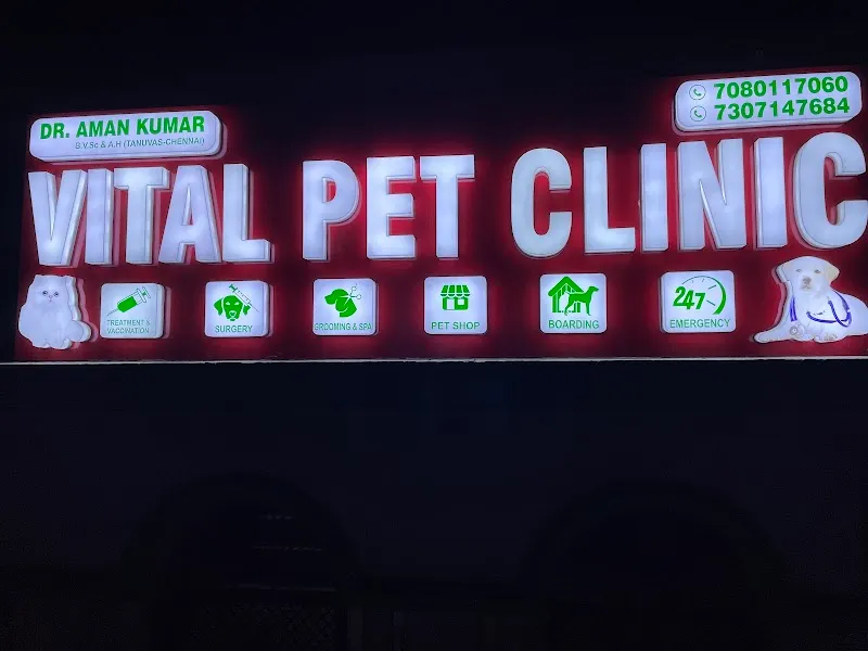 VITAL PET CLINIC photo
