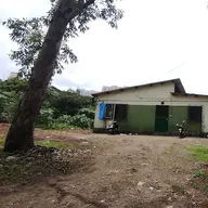 VTEAMS ANIMAL HOSPITAL -MUMBAI photo