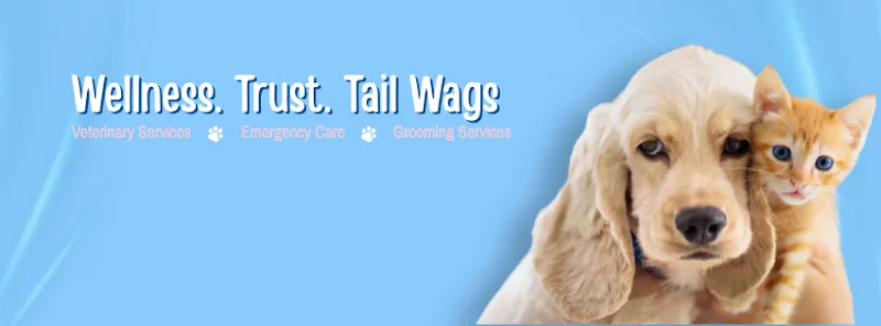 Wag N Wander | Pet Clinic & Grooming photo