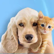 Wag N Wander | Pet Clinic & Grooming photo