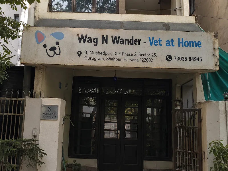 Wag N Wander – Vet at Home photo