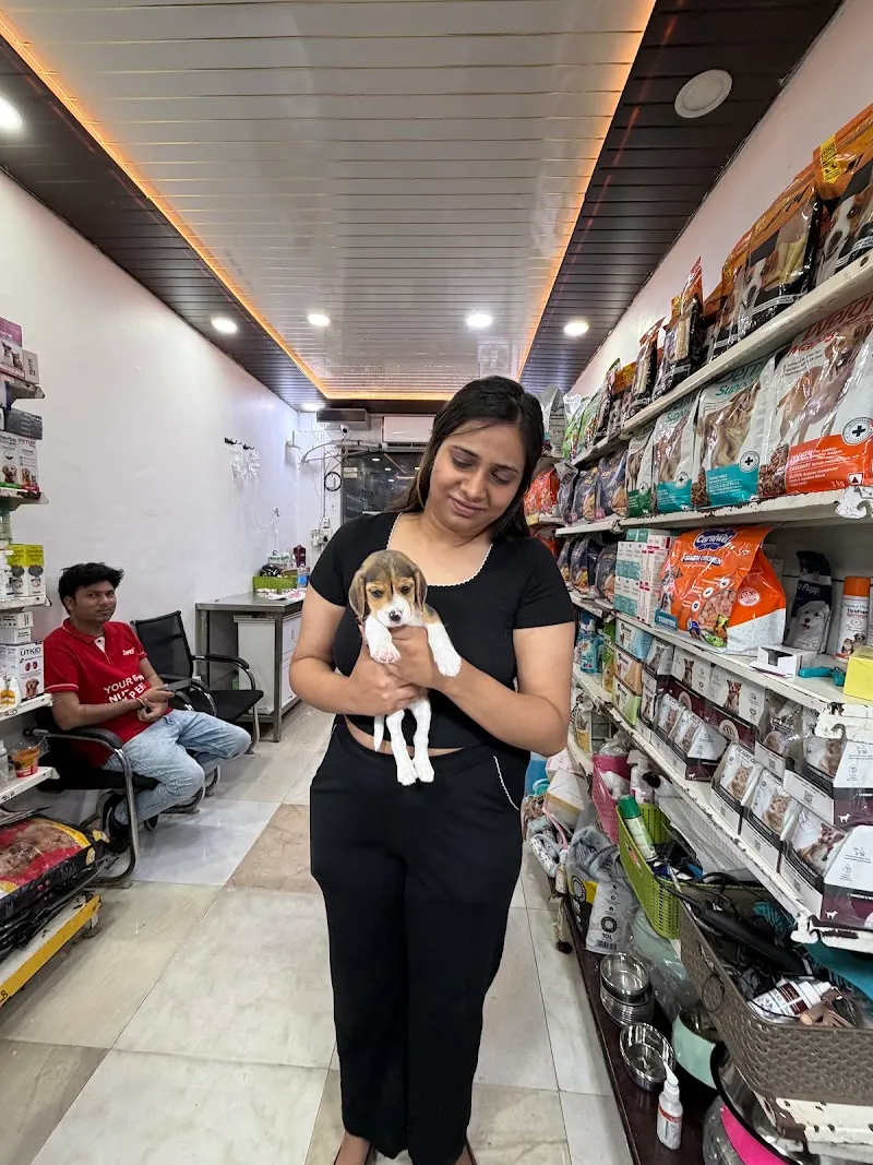 We Love Pet Clinic photo