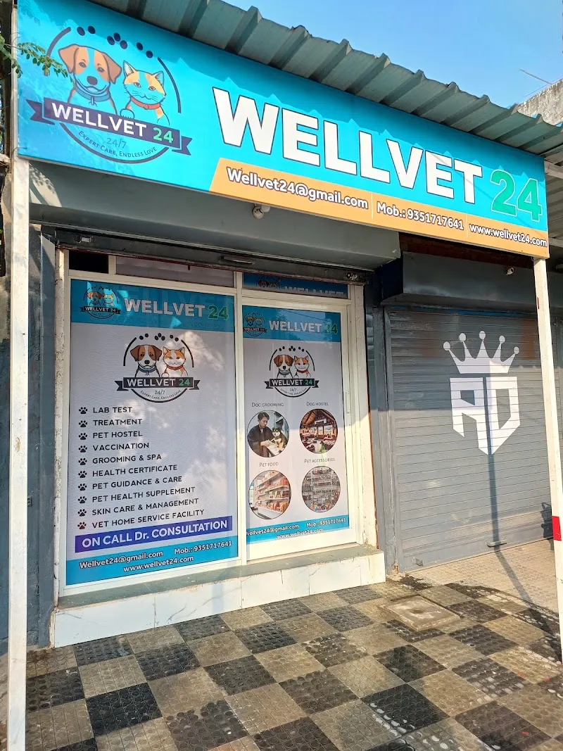 Wellvet24 photo