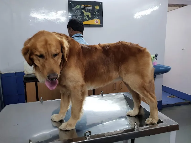Westend Speciality Petcare and Nursing center photo