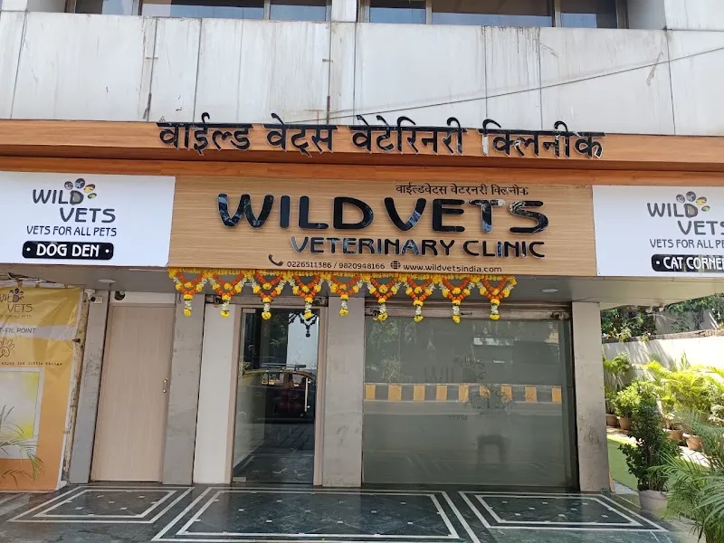 Wild Vets India photo