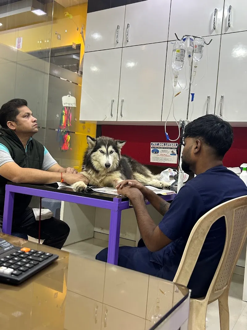 WOOF & MEOW PET CLINIC & GROOMING photo