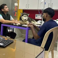 WOOF & MEOW PET CLINIC & GROOMING photo