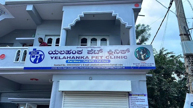 YELAHANKA PET CLINIC photo