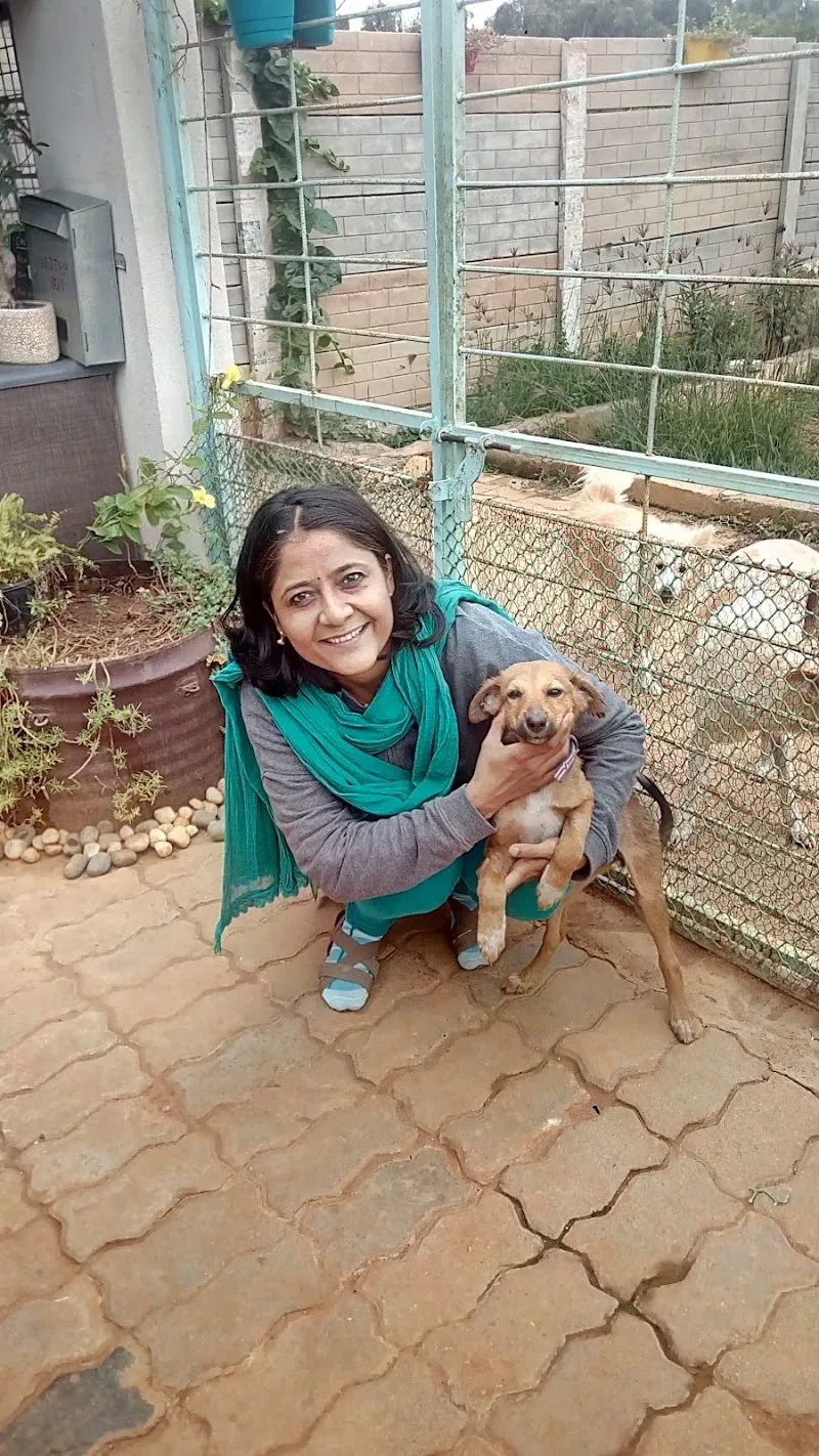 Your’s Pet Vet Clinic photo