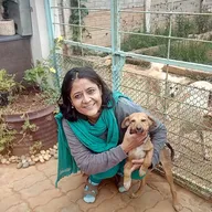 Your’s Pet Vet Clinic photo