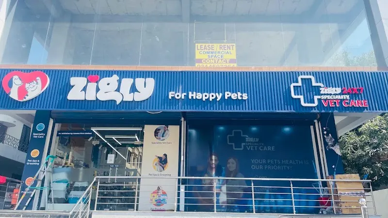 Zigly 24×7 Multi-Speciality Pet Hospital | Vaishali Nagar (Jaipur) photo