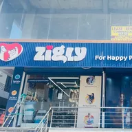 Zigly 24×7 Multi-Speciality Pet Hospital | Vaishali Nagar (Jaipur) photo
