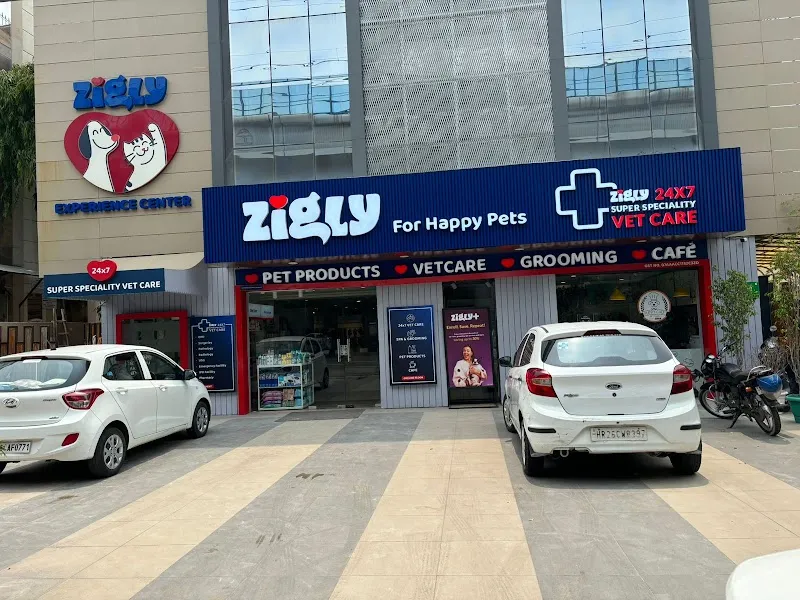 Zigly 24×7 Pet Hospital – Kailash Colony photo
