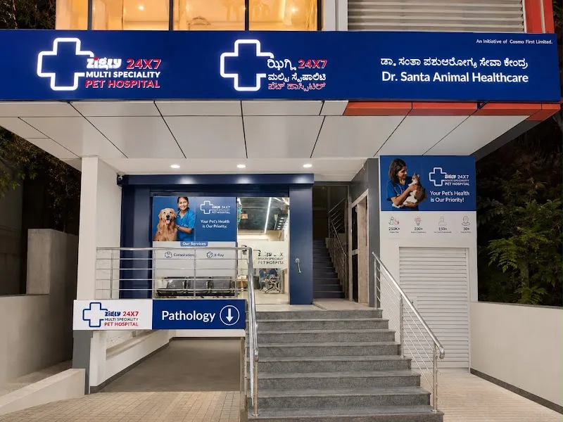 Zigly 24 X7 Multi Speciality Pet Hospital – Dr. Santa Animal Healthcare photo