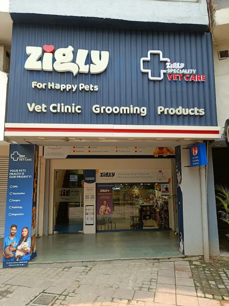 Zigly Pet Care – Basant Lok (Vasant Vihar) photo