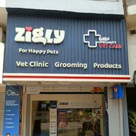 Zigly Pet Care – Basant Lok (Vasant Vihar) photo