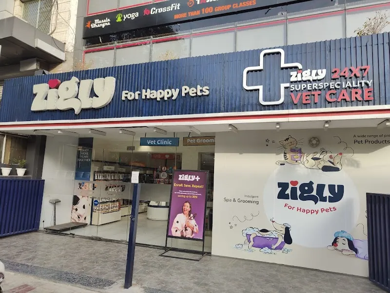 Zigly Pet Care – Janakpuri photo