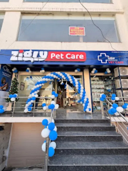 Zigly Pet Care – Pet Clinic, Pet Grooming and Pet Products | Malviya Nagar, Jaipur photo