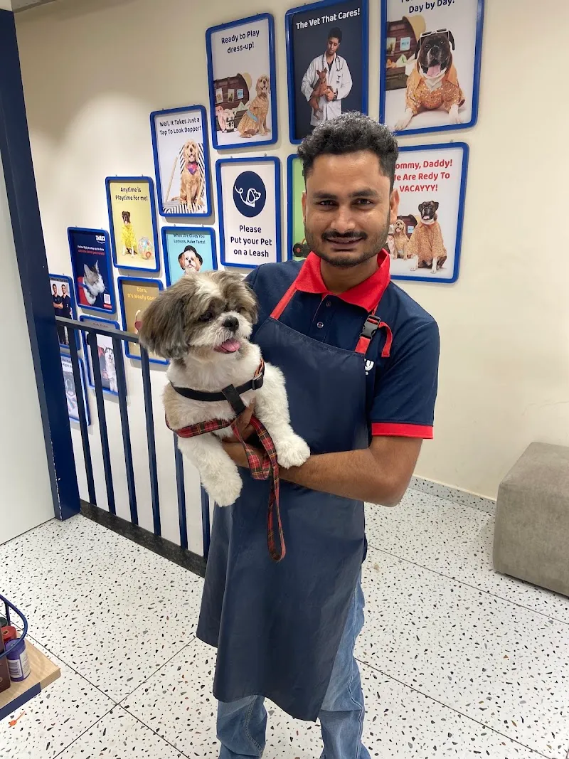 Zigly Pet Care – Pitampura photo