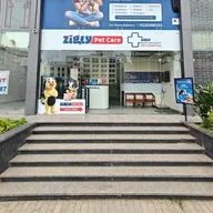 Zigly Pet Care – Vet Clinic, Pet Grooming & Pet Products | NIBM, Pune photo