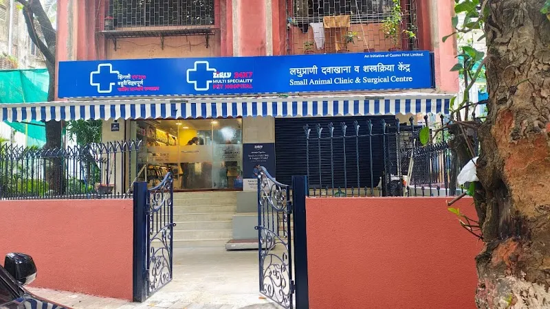 Zigly Petcare 24×7 Multi-Speciality Pet Hospital I Small Animal Clinic & Surgical Center photo