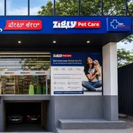 Zigly – Vet Clinic, Pet Grooming & Pet Products | Bengaluru photo