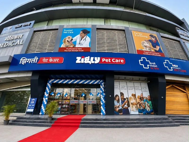 Zigly – Vet Clinic, Pet Grooming & Pet Products | Kalyani Nagar photo