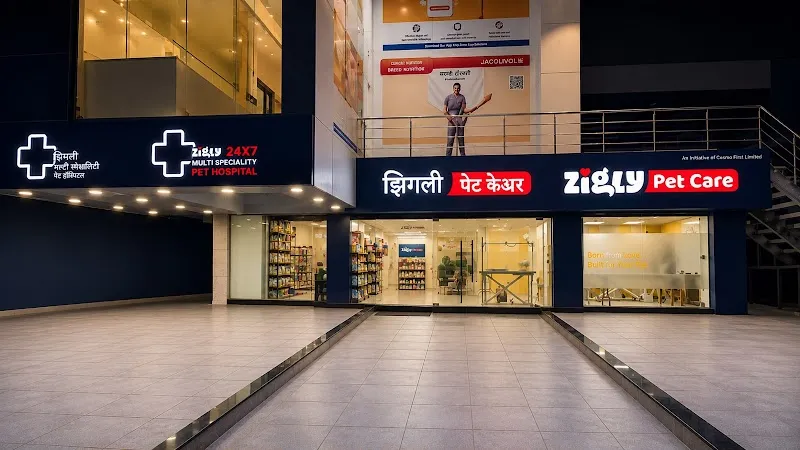 Zigly – Vet Clinic, Pet Grooming & Pet Products | Kothrud, Pune photo