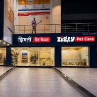 Zigly – Vet Clinic, Pet Grooming & Pet Products | Kothrud, Pune photo