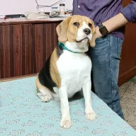 Kavita