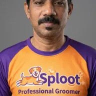 Vijay