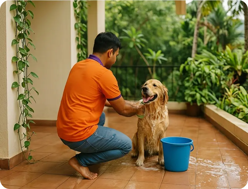 Happy dog with owner demonstrating better dog parenting