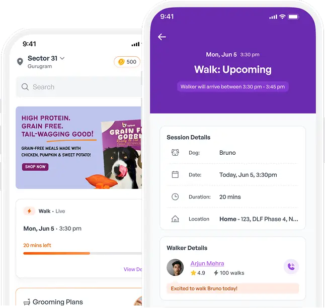 Sploot app preview