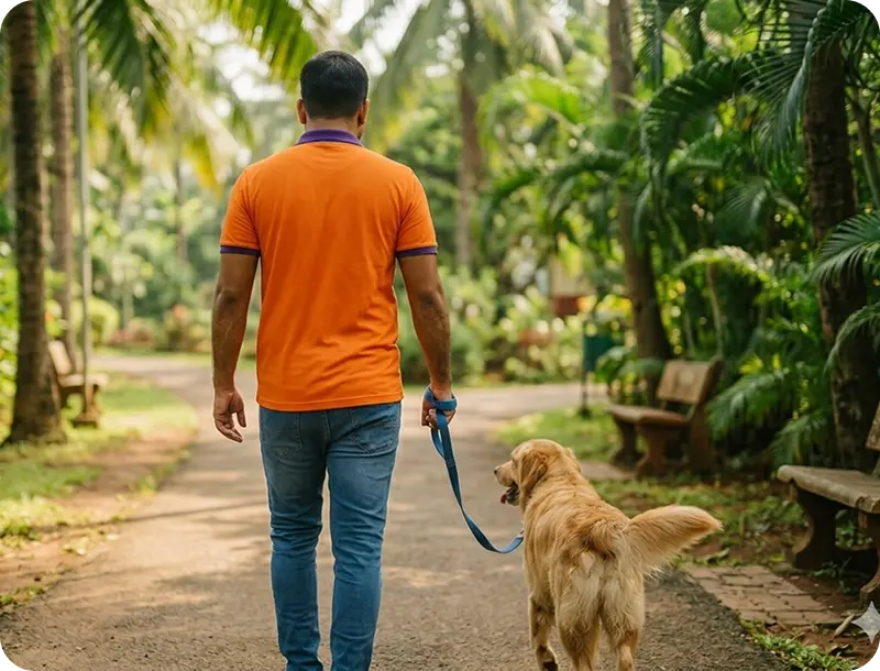 Dog walker with a golden retriever in a park